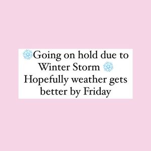 ❄️GOING ON HOLD❄️